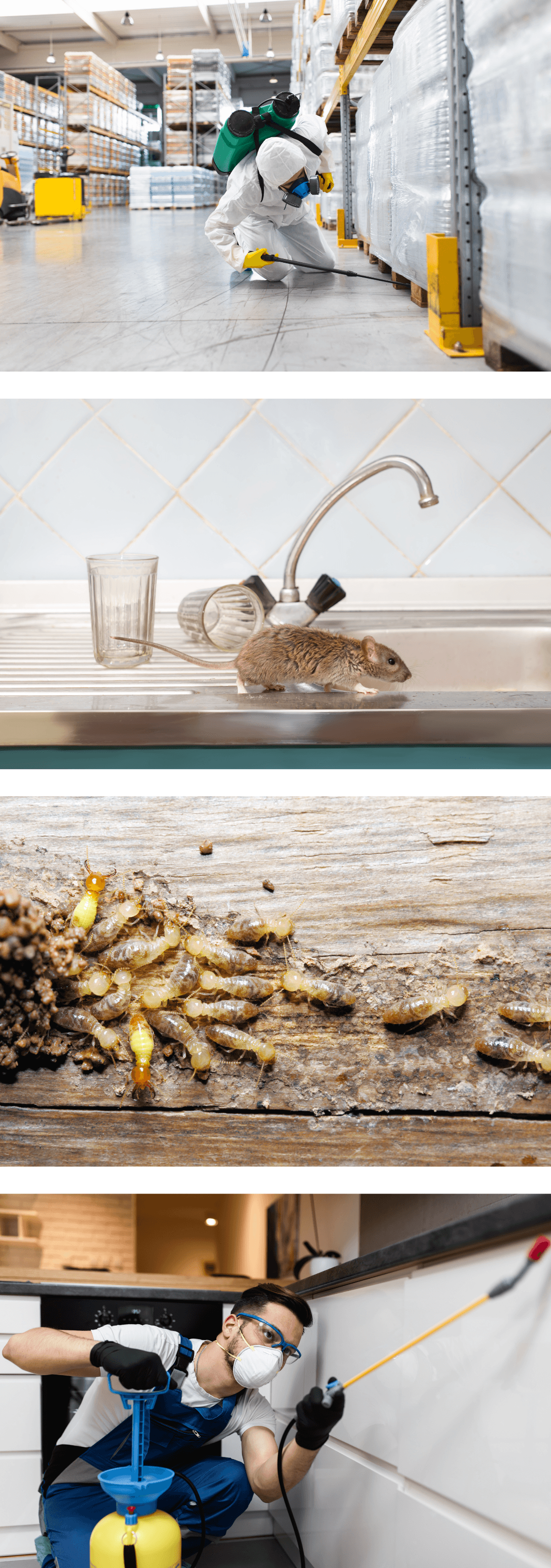 Pest Control Technician