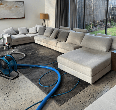 Couch Cleaning
